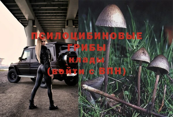прущий лед Аркадак